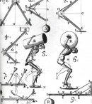 Скелетно-мышечная схема из книги Борелли
