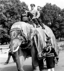 Жуков_2_во-время-дипломатического-визита-в-Индию,-1957