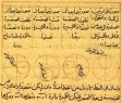 Пара Туси - Vat. Arabic ms 319