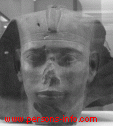 Джедефра (Раджедеф) - фараон Четвертой династии Древнего царства (правил ок. 2566 - 2558 до н. э.). Был наследником и сыном Хуфу (Хеопса). Женат на своих сводных сёстрах Хетепхерес II и Хентетенка. Туринский папирус отводит ему 8 лет правления, но самая поздняя засвидетельствованная дата его правления - 11-й счёт скота, следовательно, он правил не менее 11 лет (или 23 года, если счёт скота производился раз в два года).