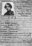 Паспорт 1920 г.