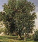 «Лесная поляна» 1869 год, холст на картоне, масло — Государственная Третьяковская галерея