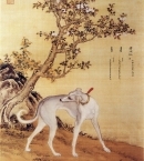 Кастильоне Дж._10 «One of a series in Ten Prized Dogs»